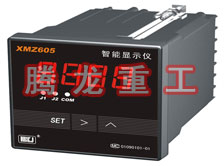 溫度表、數(shù)字顯示儀、濕度表