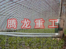 大棚花卉供暖設(shè)備、大棚卉采暖設(shè)備、大棚花卉取暖設(shè)備