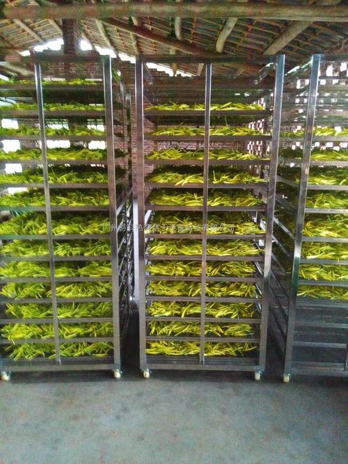 黃花菜烘干機、黃花菜烘干設(shè)備、黃花菜干燥機、黃花菜干燥設(shè)備、